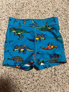 Hanna Andersson Teal blue Swim Trunks with Colorful Dino Print tight fit